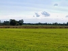 alstertal_1