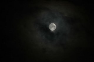 dsc_0052_1