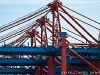 Unterwegs im Hamburger Containerhafen