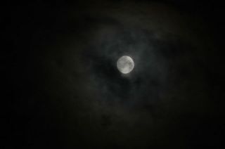 dsc_0052_1