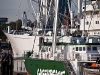 Greenpeace Rainbow Warrior 3