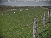 Westerheversand